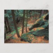 Ice Glen Ravine Briefkaart (Voorkant)