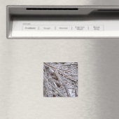 Ice Magneet (Insitu (Vaatwasser))