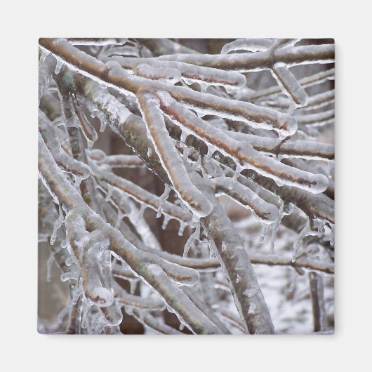 Ice Magneet (Voorkant)