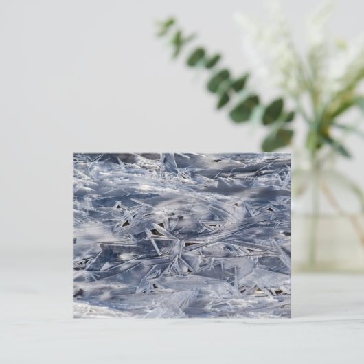  Ice Not ICE Briefkaart (Staand voorkant)