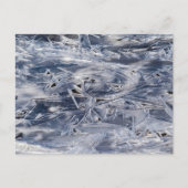  Ice Not ICE Briefkaart (Voorkant)