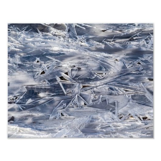  Ice Not ICE Foto Afdruk (Voorkant)