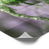 Ice on Goldenrod Natuur Poster (Hoek)