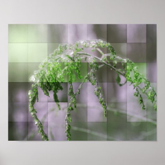 Ice on Goldenrod Natuur Poster (Voorkant)