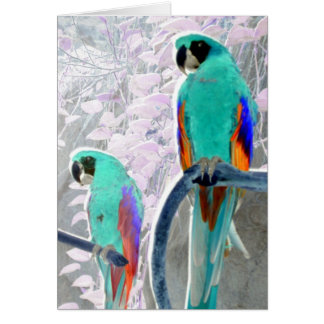 Ice Parrots