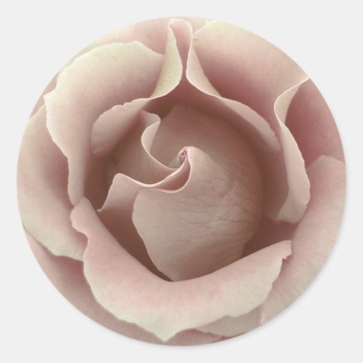 ICE PINK Rose - Huwelijksenvelop Seal Ronde Sticker (Voorkant)