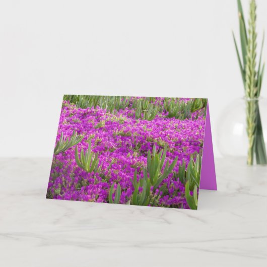 Ice Plant Purple Flowers, Floral, Blank Kaart (Voorkant)