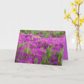 Ice Plant Purple Flowers, Floral, Blank Kaart (Gele Bloem)