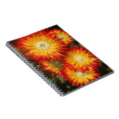 Ice-Planten (Lampranthus aureus) in Bloom Notitieboek (Rechterzijde)