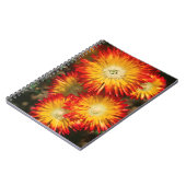 Ice-Planten (Lampranthus aureus) in Bloom Notitieboek (Linkerzijde)