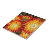 Ice-Planten (Lampranthus aureus) in Bloom Tegeltje (Zijkant)