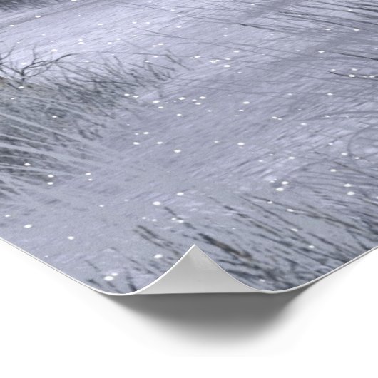 Ice Queen Poster (Hoek)