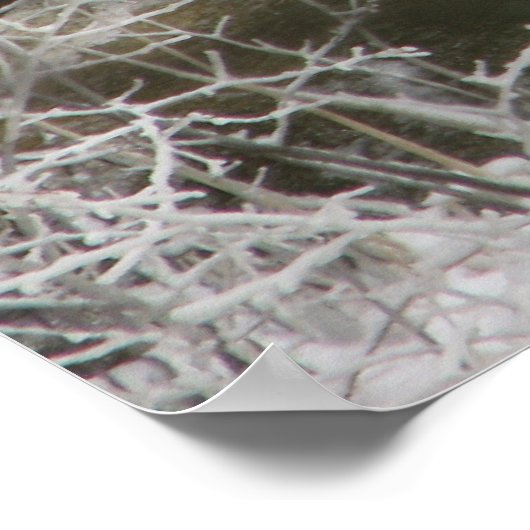 Ice Reflection Poster (Hoek)