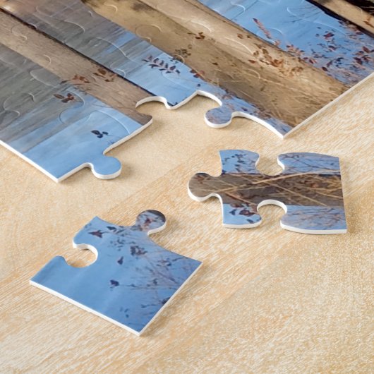 Ice Sailing op het meer — Legpuzzel (Zijkant)