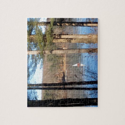 Ice Sailing op het meer — Legpuzzel (Verticaal)