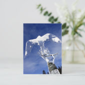 Ice sculpture in Lake Louise, Alberta, Canada Briefkaart (Staand voorkant)