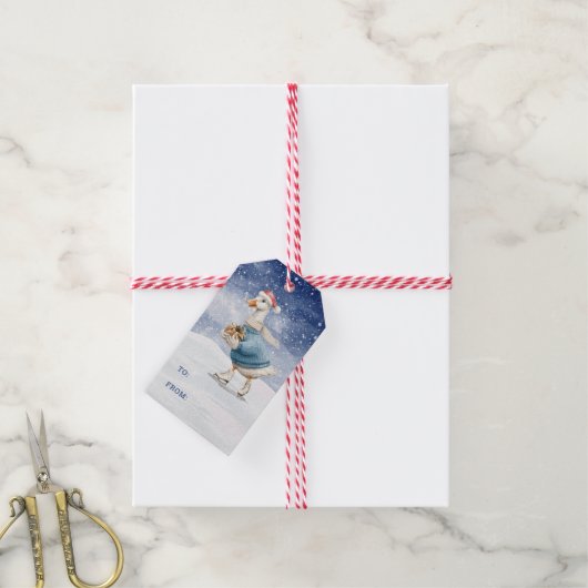 Ice Skating Duck Gift Labels Cadeaulabel (Met Touw)