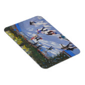 Ice skating Natural History Museum 2014 Magneet (Rechterzijde)