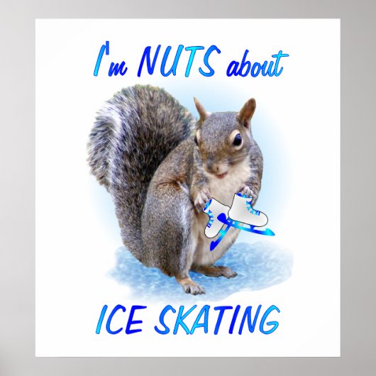 Ice Skating Nut Poster (Voorkant)