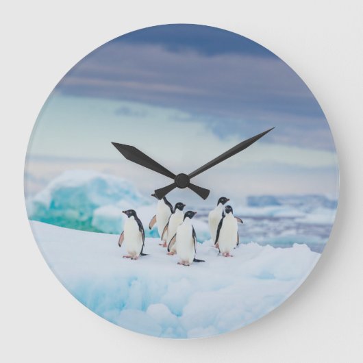 Ice & Snow | Adelie Penguins Antarctica Grote Klok (Voorkant)