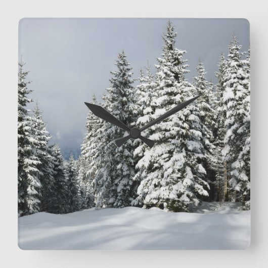 Ice & Snow | Pine Woodland, Austria Vierkante Klok (Voorkant)