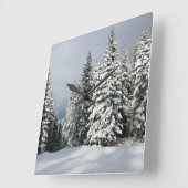 Ice & Snow | Pine Woodland, Austria Vierkante Klok (Hoek)