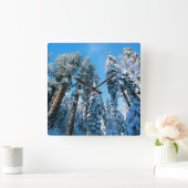 Ice & Snow | Sequoia National Park, California Vierkante Klok (Huis)