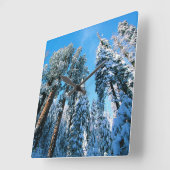 Ice & Snow | Sequoia National Park, California Vierkante Klok (Hoek)