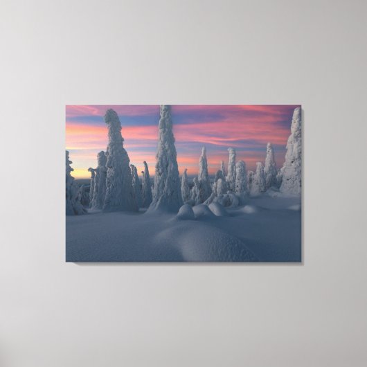 Ice & Snow | Snow Covered Trees, Lapland, Finland Canvas Afdruk (Voorkant)