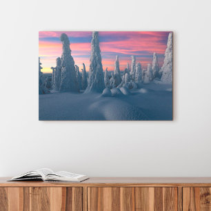 Ice & Snow Snow Covered Trees, Lapland, Finland Canvas Afdruk