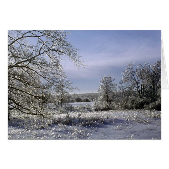 Ice storm 1 (Voorkant Horizontaal)