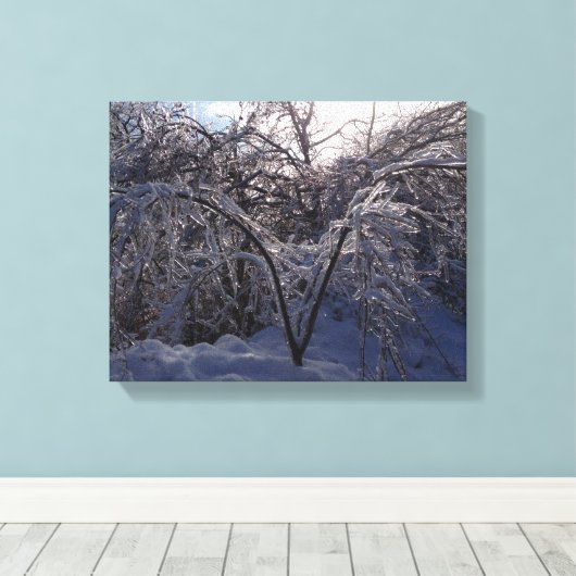 Ice Storm Fotodoek Kunstdruk Michigan Canvas Afdruk (Insitu (Houten vloer))