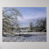 Ice Storm graast een bos Poster (Voorkant)