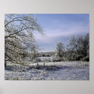 Ice Storm graast een bos Poster