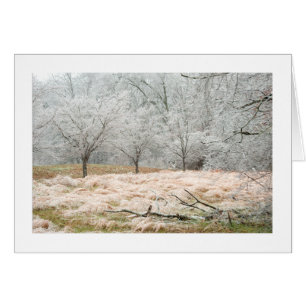 Ice Storm Rural Tennessee - Foto