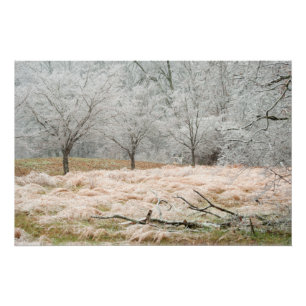 Ice Storm Rural Tennessee - Schilderachtig foto Perfect Poster