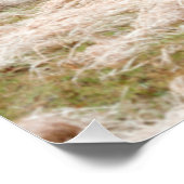 Ice Storm Rural Tennessee - Schilderachtig foto Perfect Poster (Hoek)