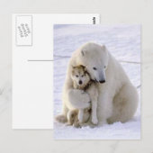 Icebeer en Dog Briefkaart (Voorkant / Achterkant)