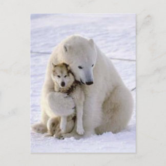 Icebeer en Dog Briefkaart