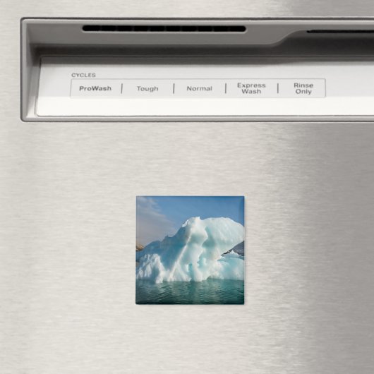 Iceberd in de baai van Palander, Noorwegen Magneet (Insitu (Vaatwasser))