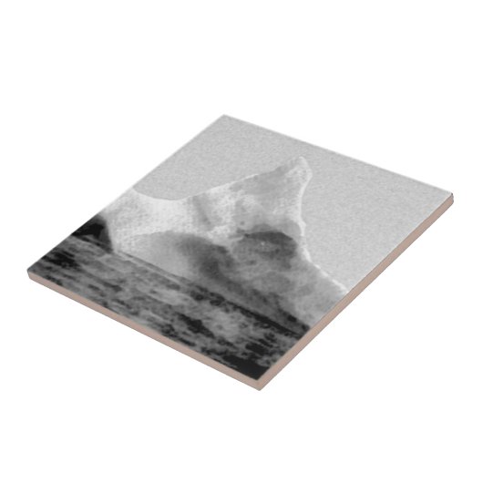 Iceberg die de Titanic zonk Tegeltje (Zijkant)