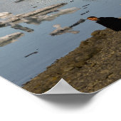 Iceberg-formaties Poster (Hoek)