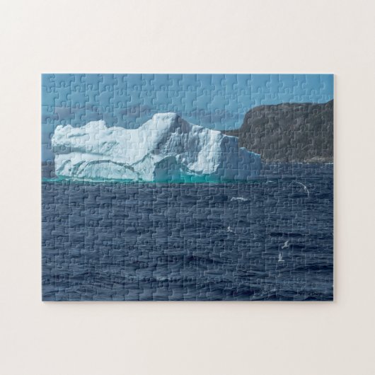 Iceberg in Conception Bay Legpuzzel (Horizontaal)