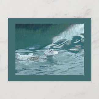 "Iceberg Mushroom Delight" Briefkaart