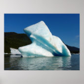 Iceberg op het meer van Mendenhall in Alaska Poster (Voorkant)