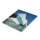 Iceberg op het meer van Mendenhall in Alaska Tegeltje (Zijkant)