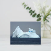 Icebergs in Newfoundland Briefkaart (Staand voorkant)