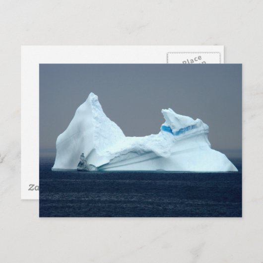 Icebergs in Newfoundland Briefkaart (Voorkant / Achterkant)