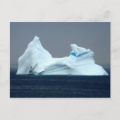 Icebergs in Newfoundland Briefkaart (Voorkant)