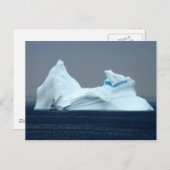 Icebergs in Newfoundland Briefkaart (Voorkant / Achterkant)